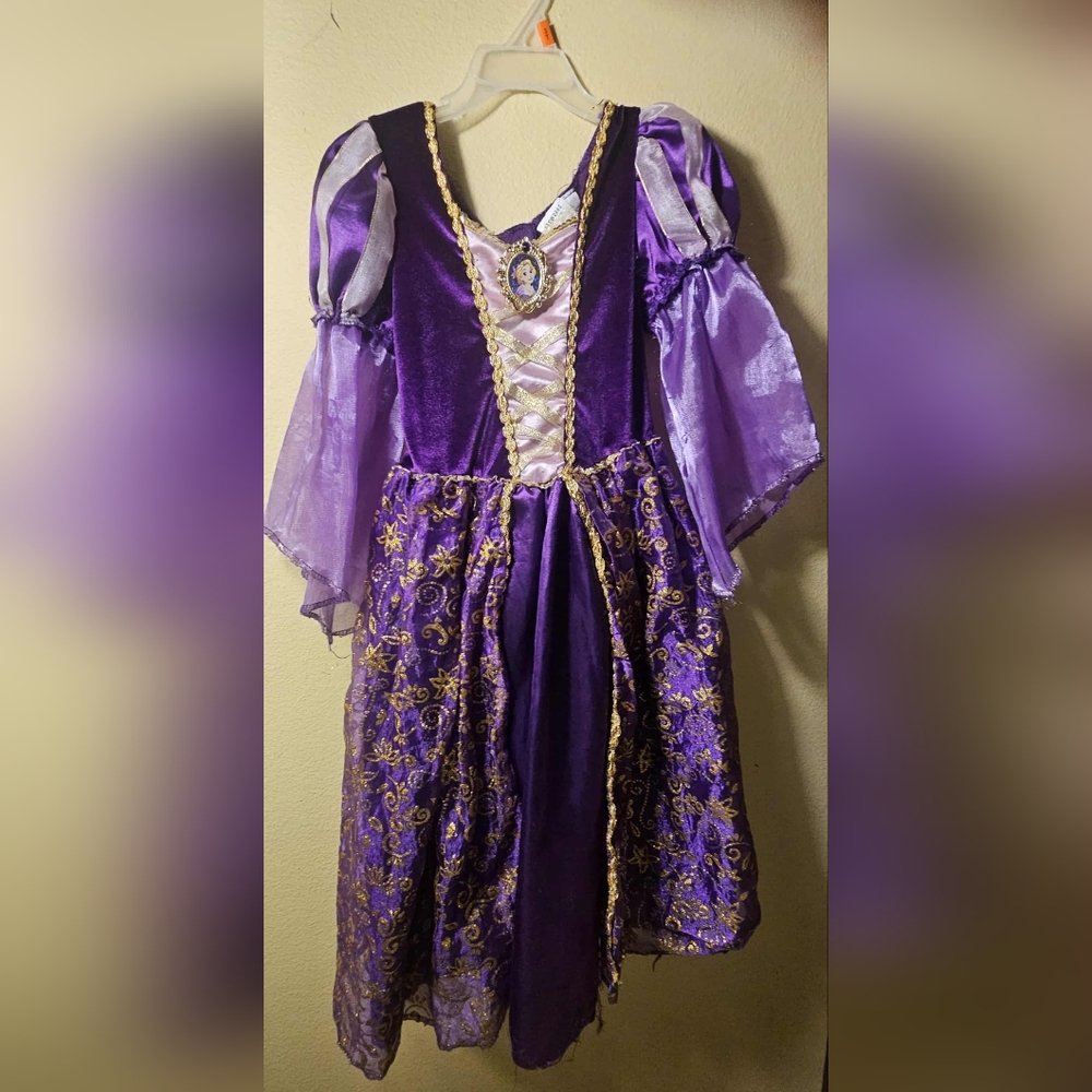 RAPUTZEL PURPLE AND GOLD COSTUME
